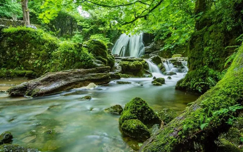 高效稳定性稳定性
